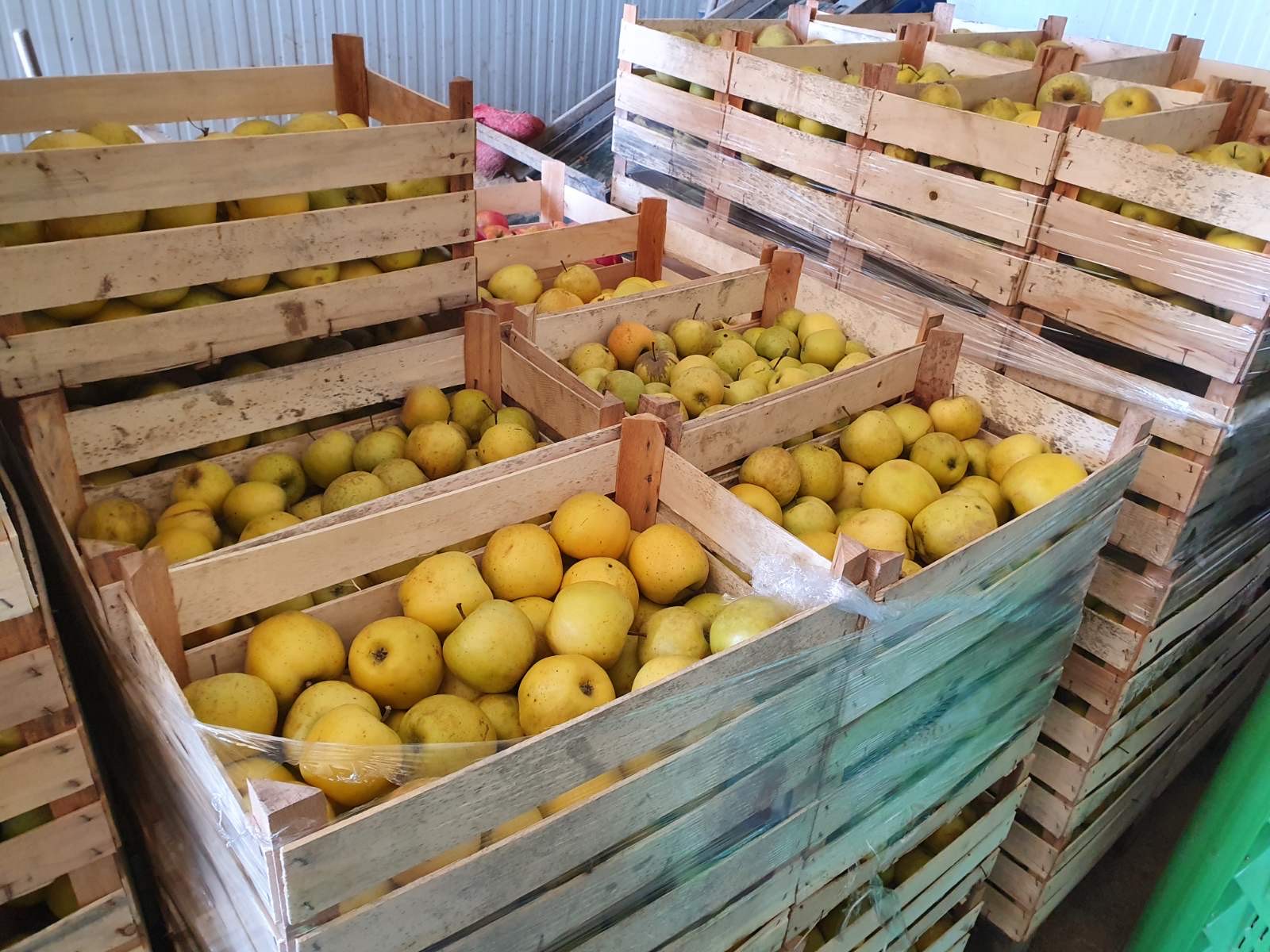 Zahtjevi bh. proizvođača na čekanju: Minimalna ulaganja u domaću proizvodnju